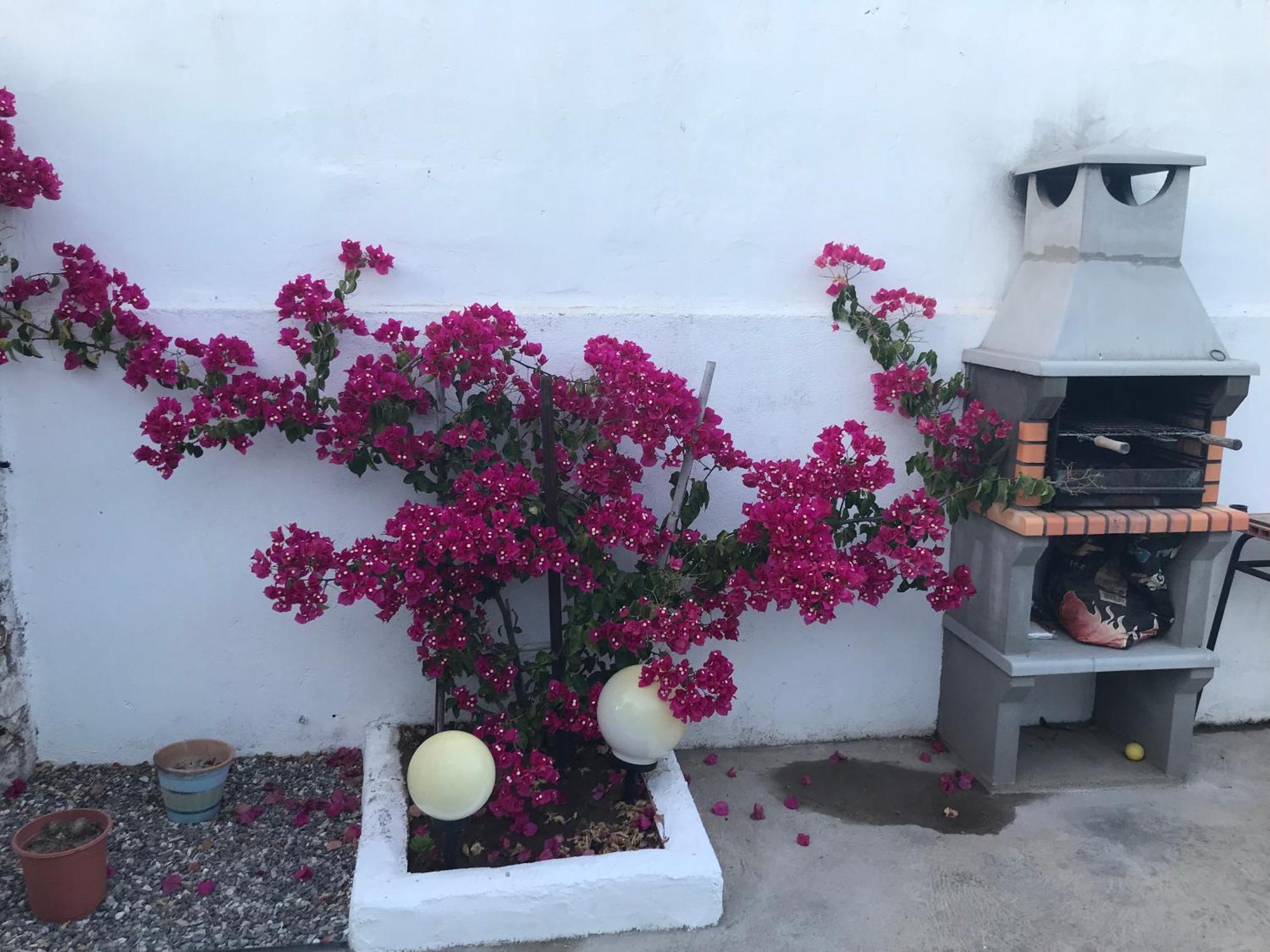 Casa Santo Antonio Lägenhet Pias  Exteriör bild